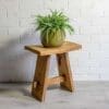 Spider Plant -Chlorophytum Ocean