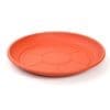 Plastic Saucer Base Round Plant
Large