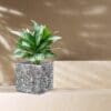 Fibreclay Square 
Planter Black - Image 3