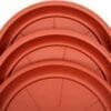 Plastic Saucer Base Round Plant
Medium - Image 2