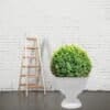 Decorated Urn planter