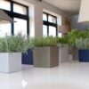 Oslo Square Planter