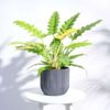 Vogue Fiber Linear Planter - Image 2