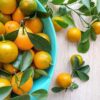 Calamansi-Citrus Plant - Image 3