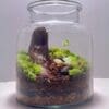 Flora Closed Terrarium - Image 2