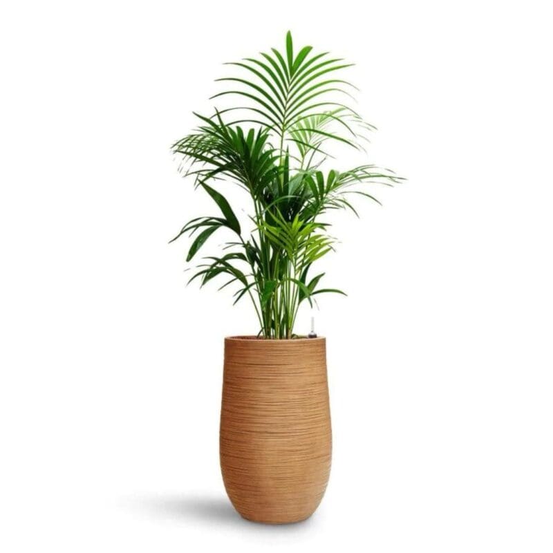 Dune Partner Planter - Tall - Image 4