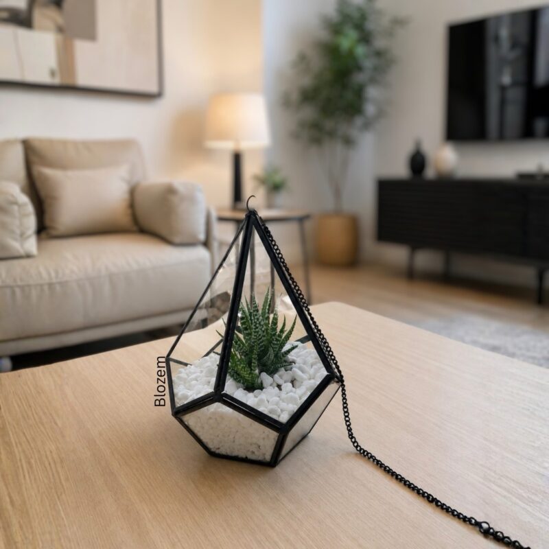 Geometric Open Terrarium