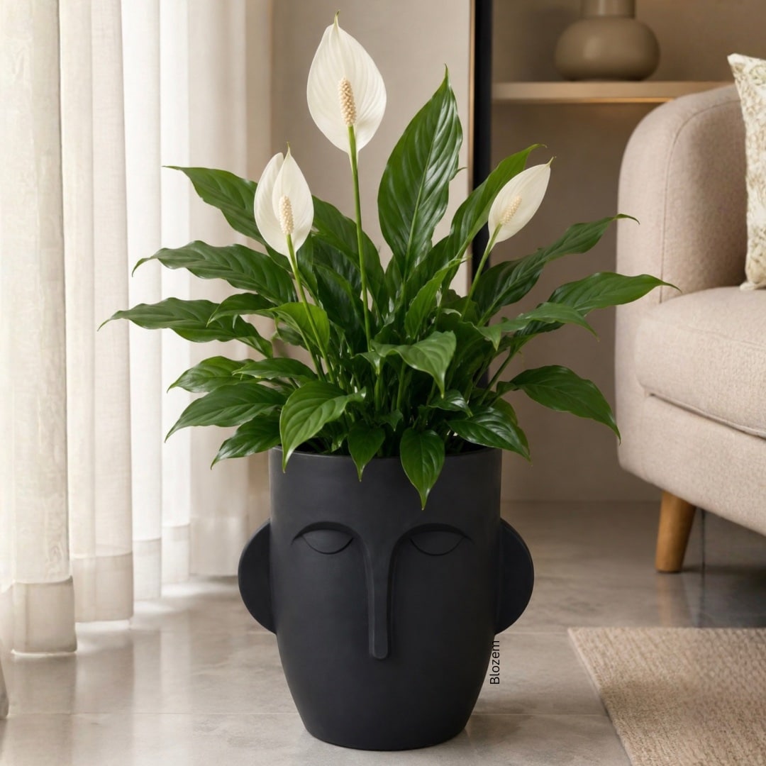 Tall Black Face Fiber Pot - Image 2