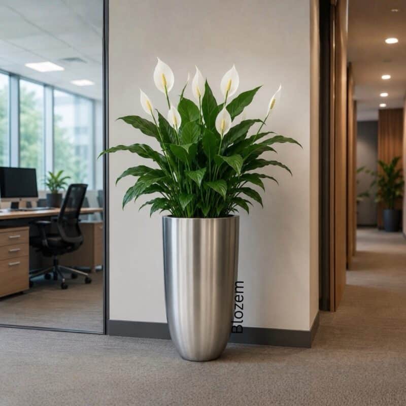 Aluminum Explorer Pot
