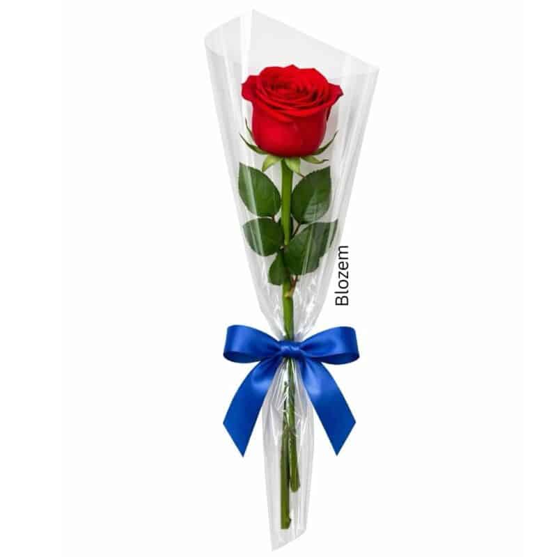 Single Red Rose
