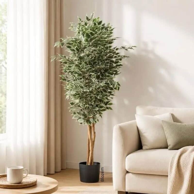 Artificial Variegated Ficus Tree