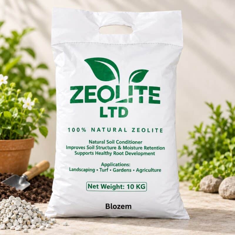 Zeolite