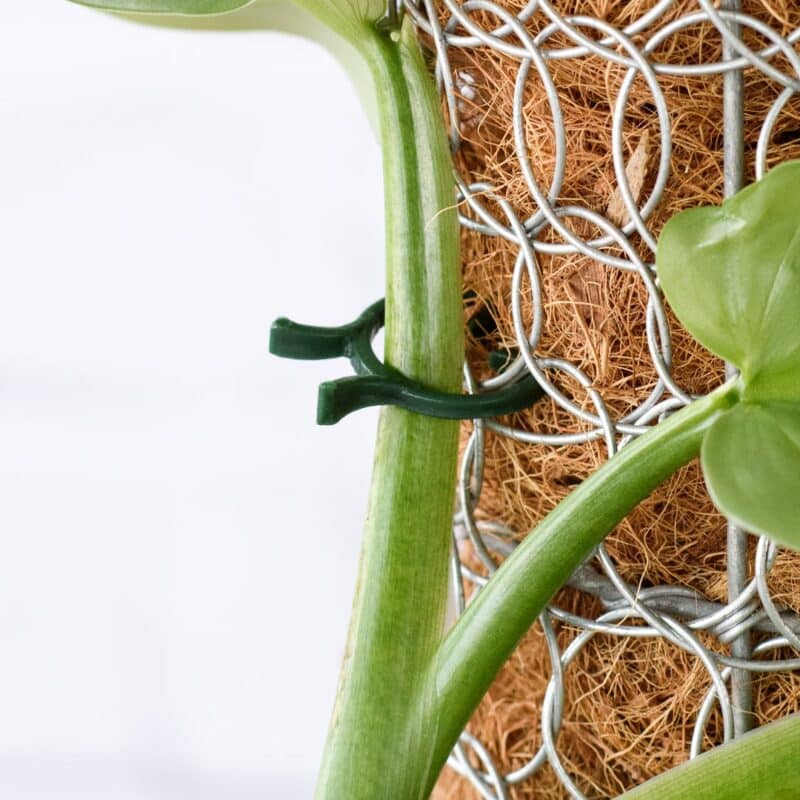 Plant Support Clips Set