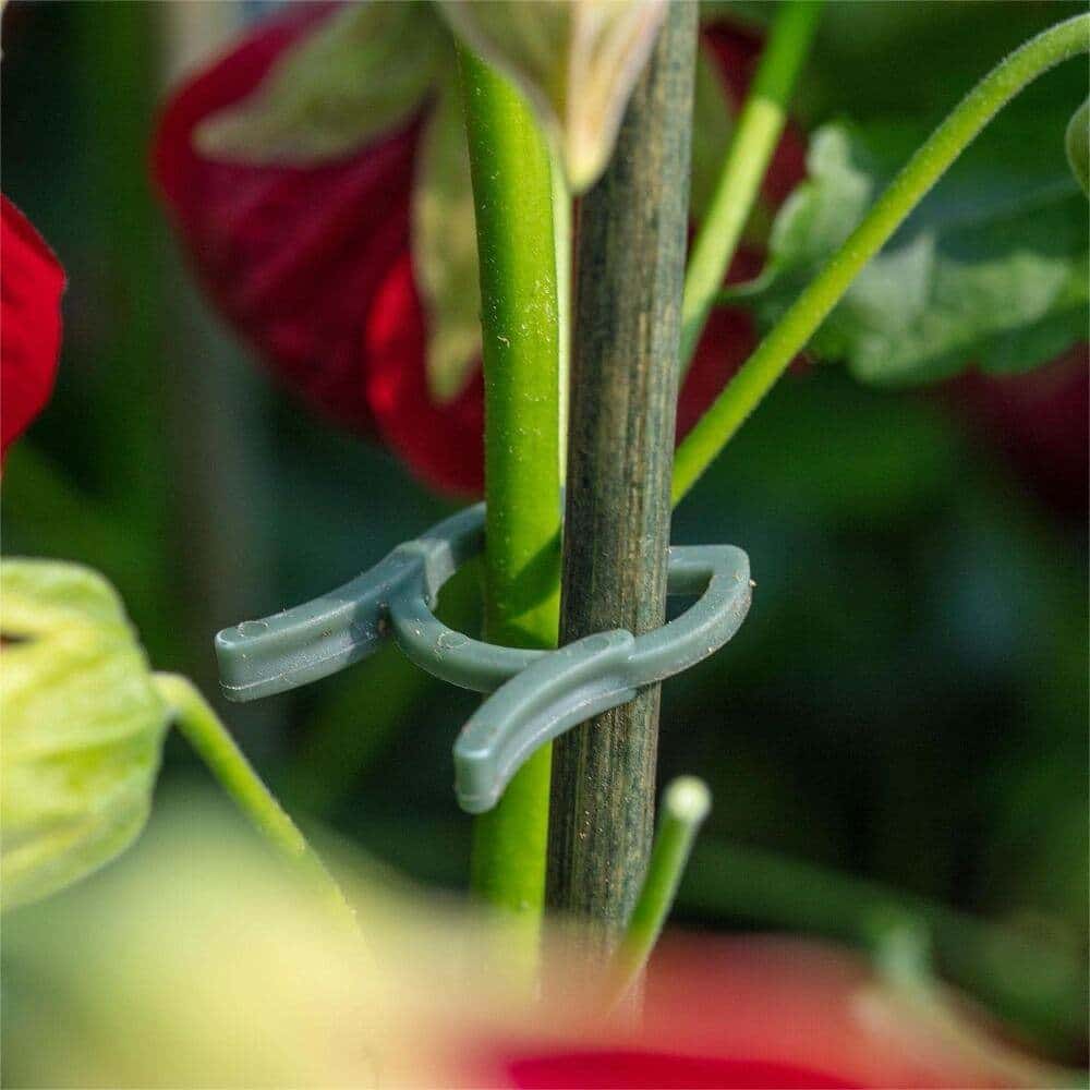 Plant Support Clips Set - Image 4