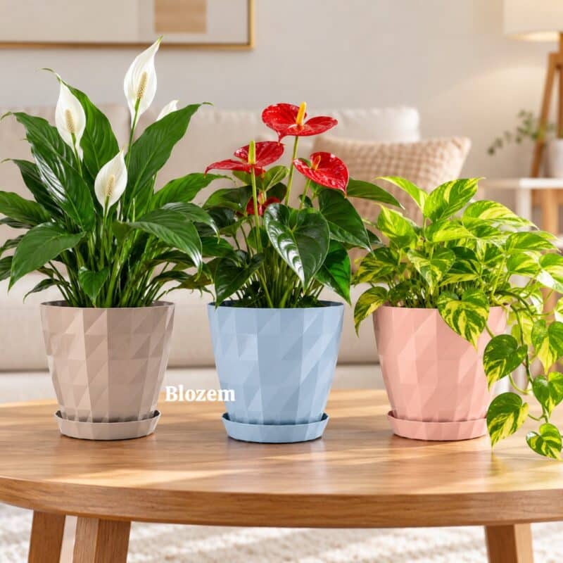 Geo Plastic Pot